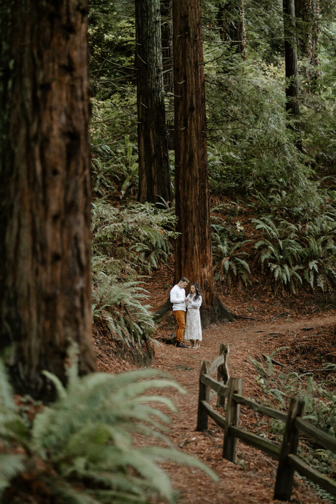 engagement photos outdoors in portland