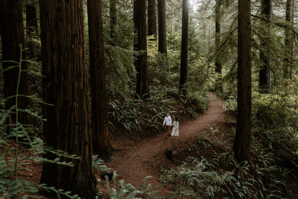 engagement photos outdoors in portland