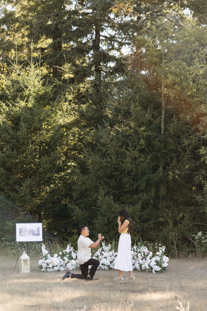 a summertime engagement photoshoot
