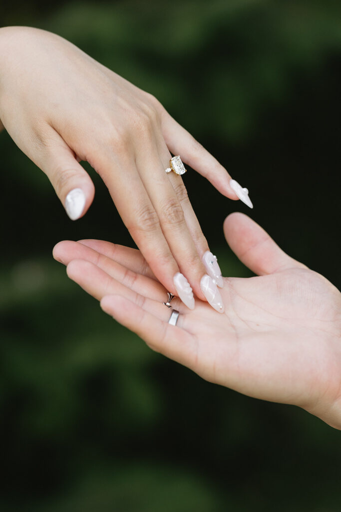 a surprise engagement session
