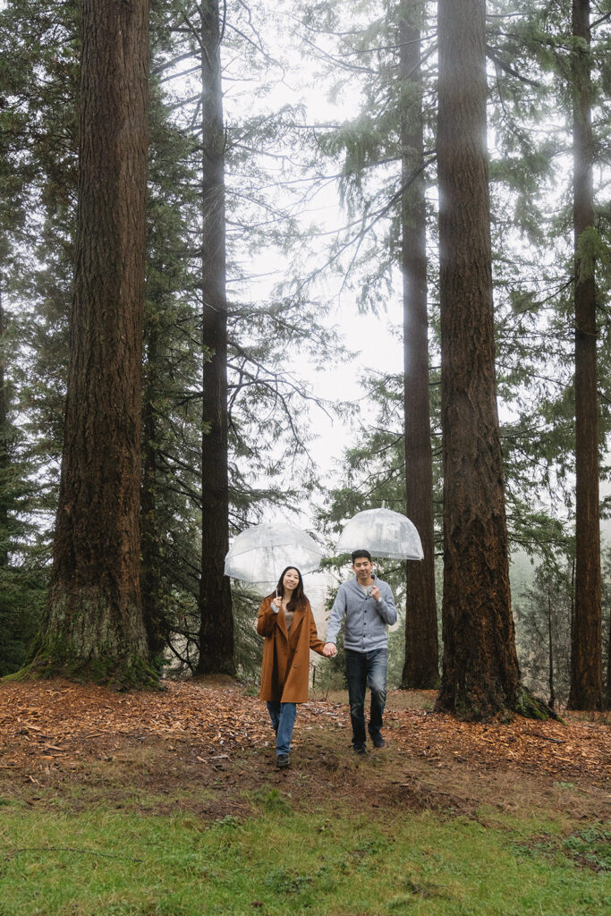a romantic engagement session in portland + hoyt arboretum
