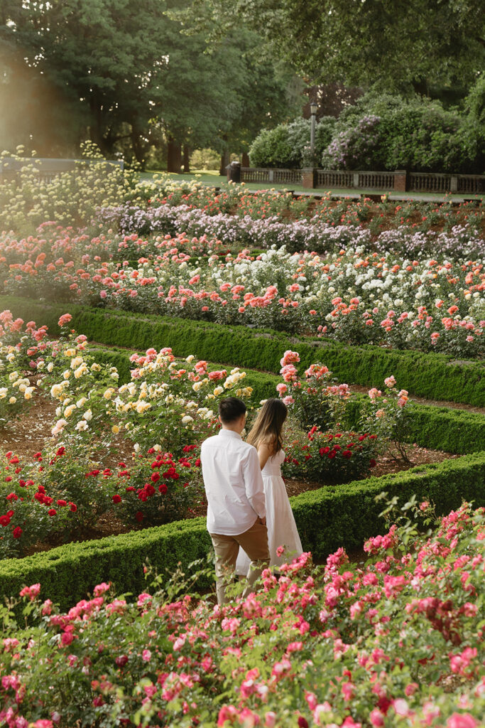 Engagement portraits captured in a Portland rose garden in full bloom.

