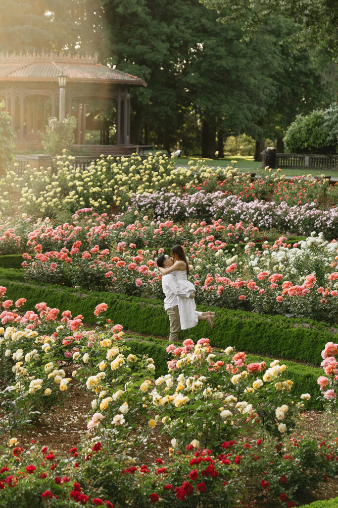 Engagement portraits captured in a Portland rose garden in full bloom.
