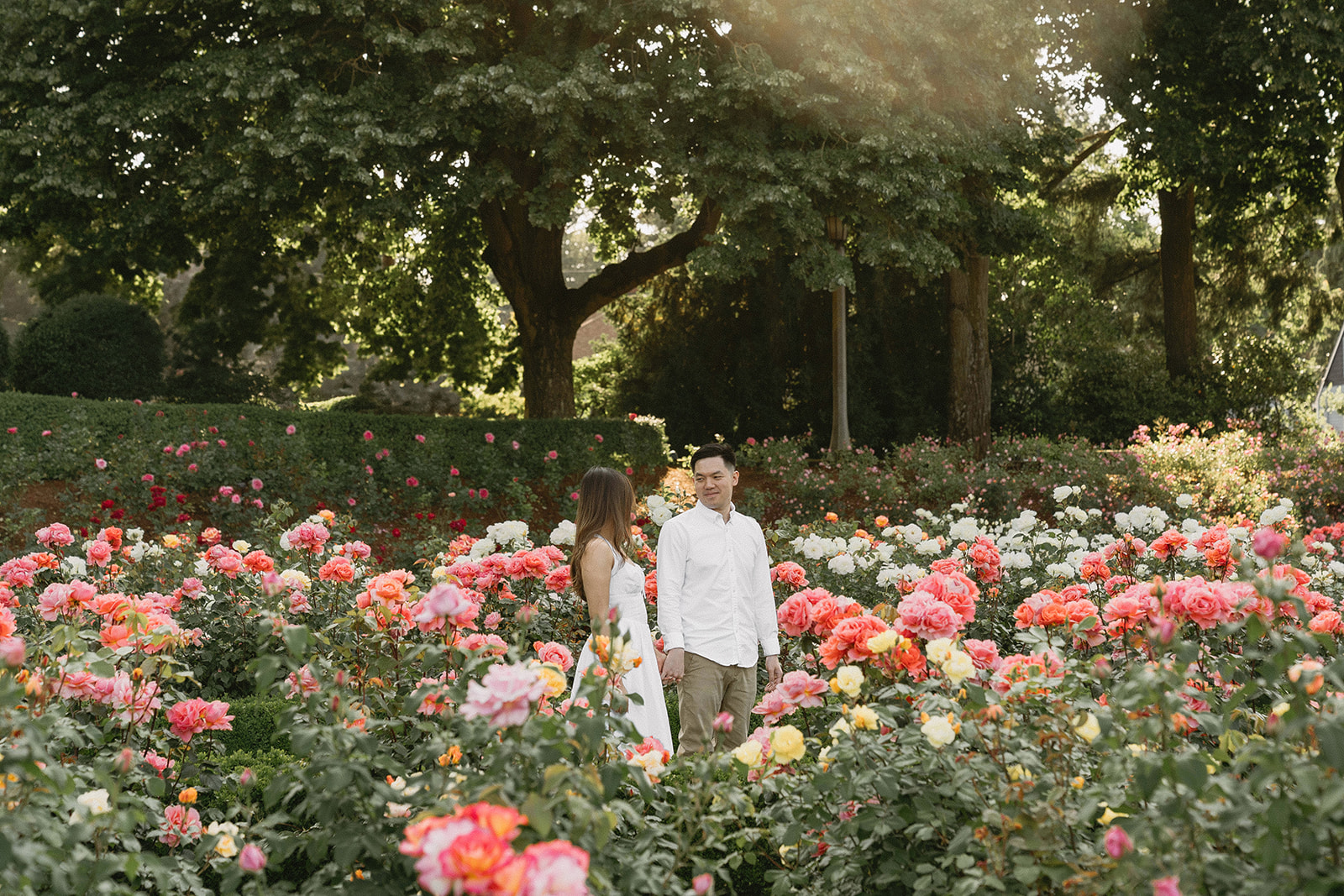 A couple walking through a blooming rose garden during their engagement session | Peninsula Rose Garden
