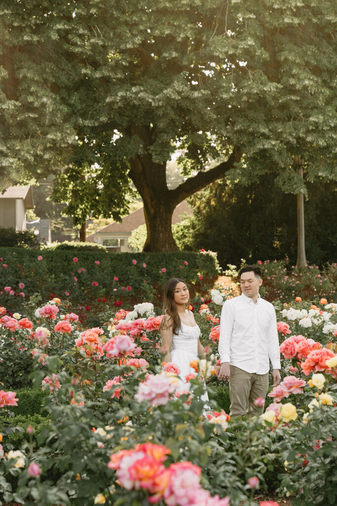 A couple walking through a blooming rose garden during their engagement session | Peninsula Rose Garden

