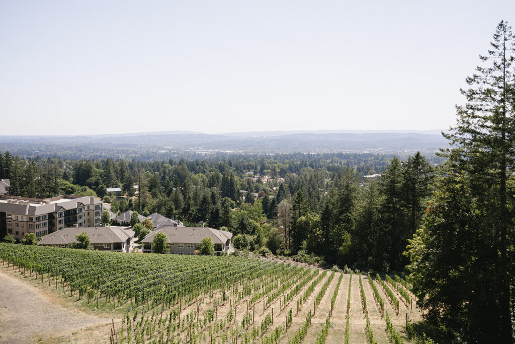 Elegant outdoor wedding ceremony setup with vineyard views in Portland, Oregon.
